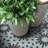 Agdal 8" x 8" Cement Patterned Wall & Floor Tile-70631067