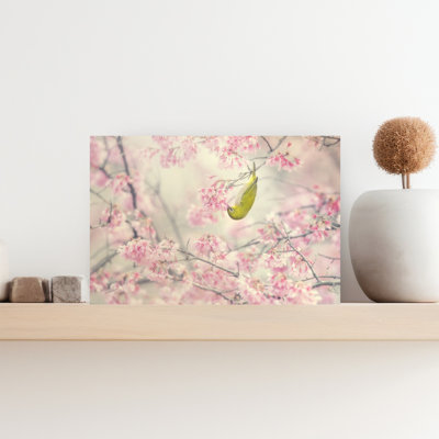 Contemporary Art Contemporary Bird Cherry Flower Nature Wall Art