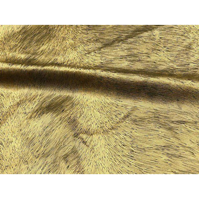 Tissu