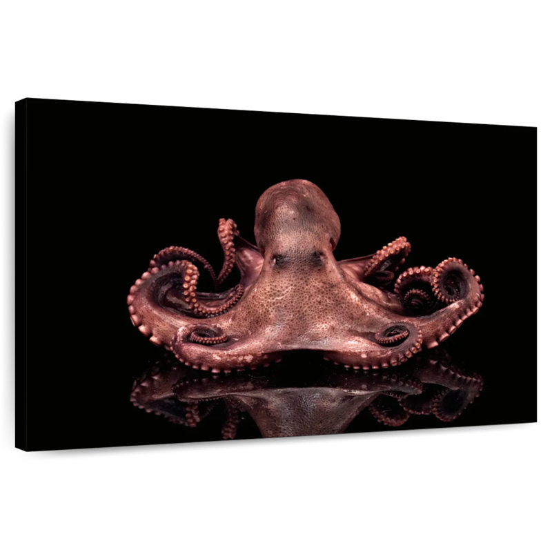 Brampt Plump Pink Octopus, 8" H x 12" W