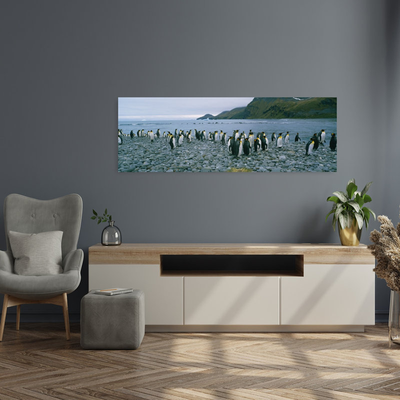 Colony of King penguins on the beach South Georgia Island Antarctica 1 Piece Wrapped Canvas Panoramic Wall Art