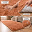 Machine Tufted High Pile Shag Area Rug(Ultra Soft & Fluffy)-70480485-73084580