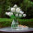 Clear Glass Vase 6.0" H 5.0" D