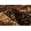 Tapis noir Mirzapur 2 pi 6 po x 12 pi 0 po