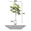 Décoration de plancher de plante simulée-110824965