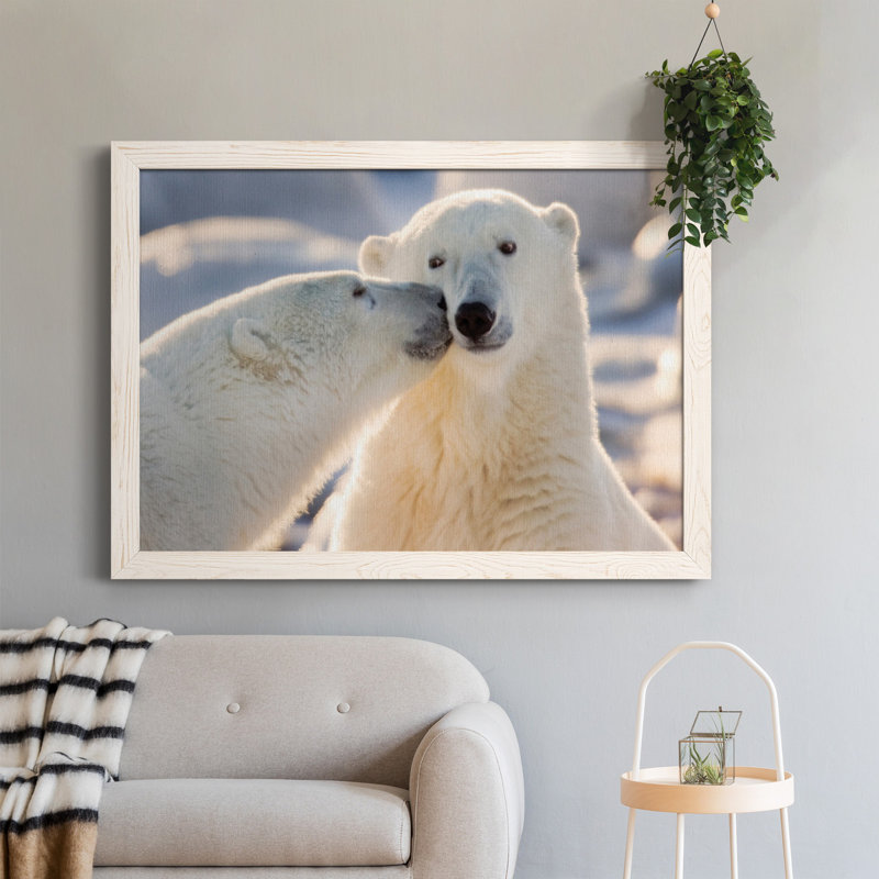 Baiser d'ours polaire - photographie sur toile, H 31,5 po x l 23,5 po x P 1,5 po, Blanc