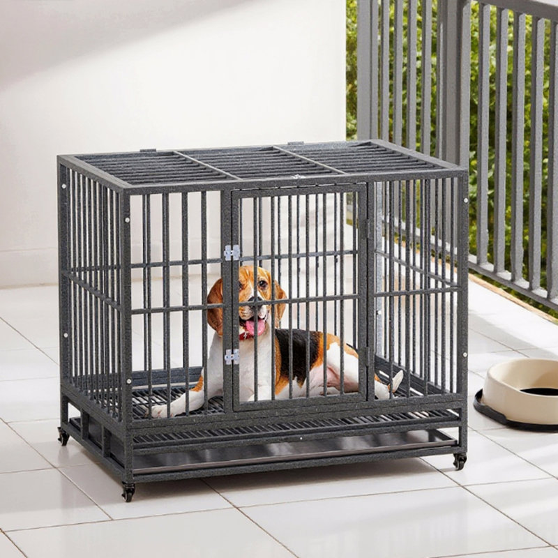 Cage en métal robuste pour chenil