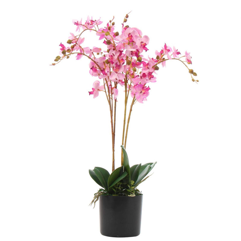 Ansa 60cm Faux Tree in Pot