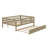 Wood Daybed With Trundle And Fence Guardrails-1255927859