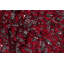 Orion Area Rug in Red-416489145