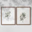 Impression florale rétro vintage XXII - ensemble de 2 estampes-715148021-715148022