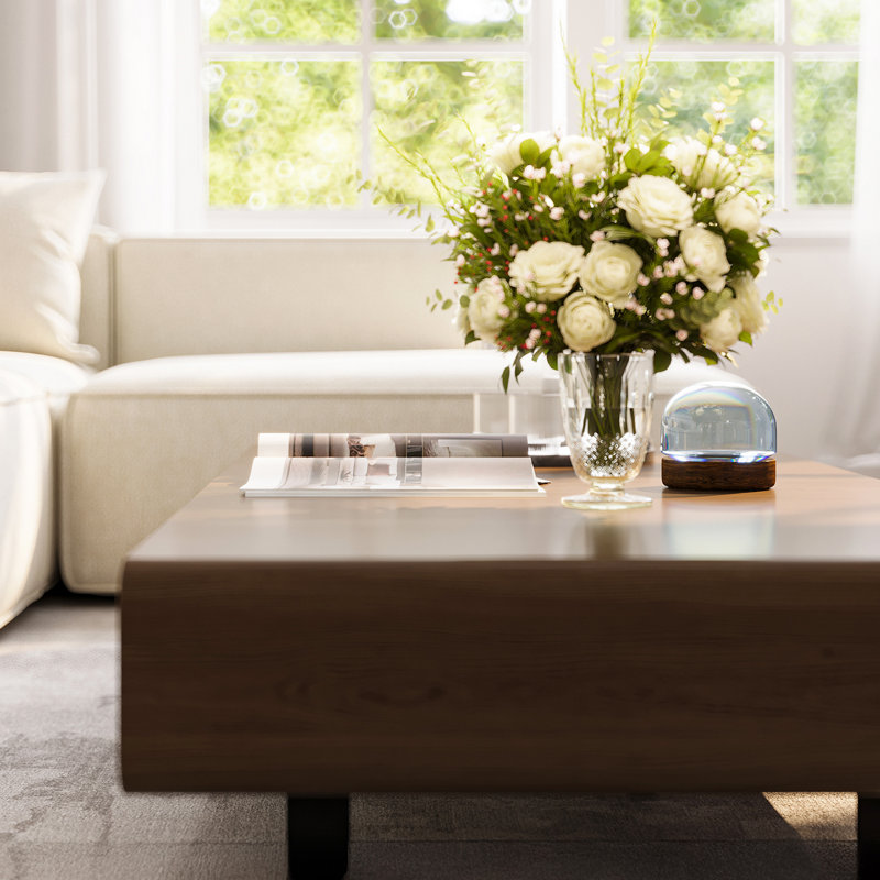 Table basse avec tablette de rangement Flowwood
