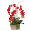 Real Touch Red Phalaenopsis Orchids, Succulents And Curly Willow Flower Arrangement In Square Gold Etched Ceramic Pot