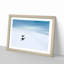 Playing Penguins - Picture Frame Painting Print-55601258-55601261