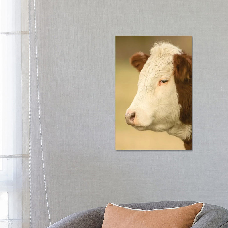 Close-Up Portrait Of A Hereford Cow In A Pasture, La Conner, Washington, USA by Janet Horton - Wrapped Canvas Print