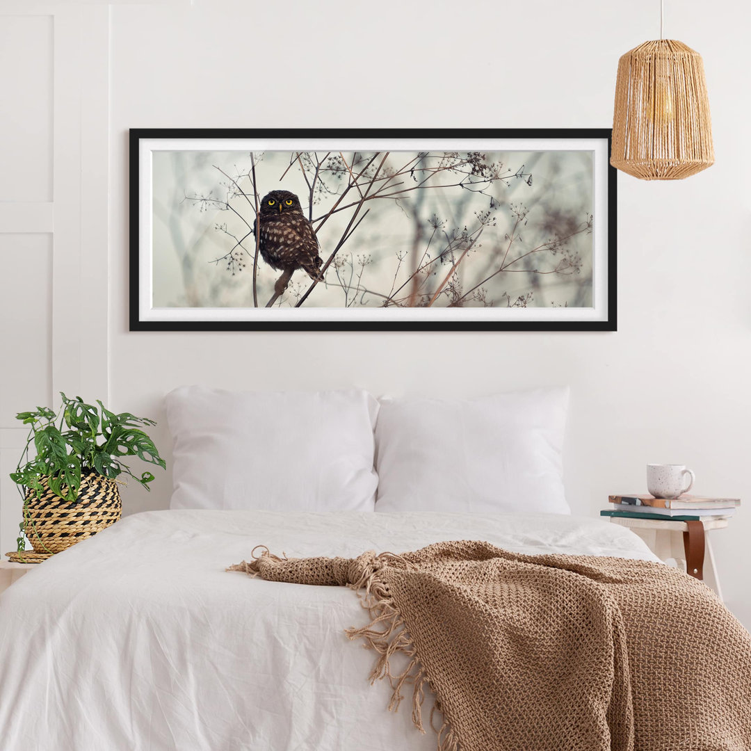 Gerahmter Grafikdruck Owl in Winter