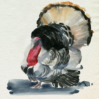 ArtDirect Parker, Jennifer Paxton Gallery Wrapped Canvas Art Titled: Watercolor Turkey II