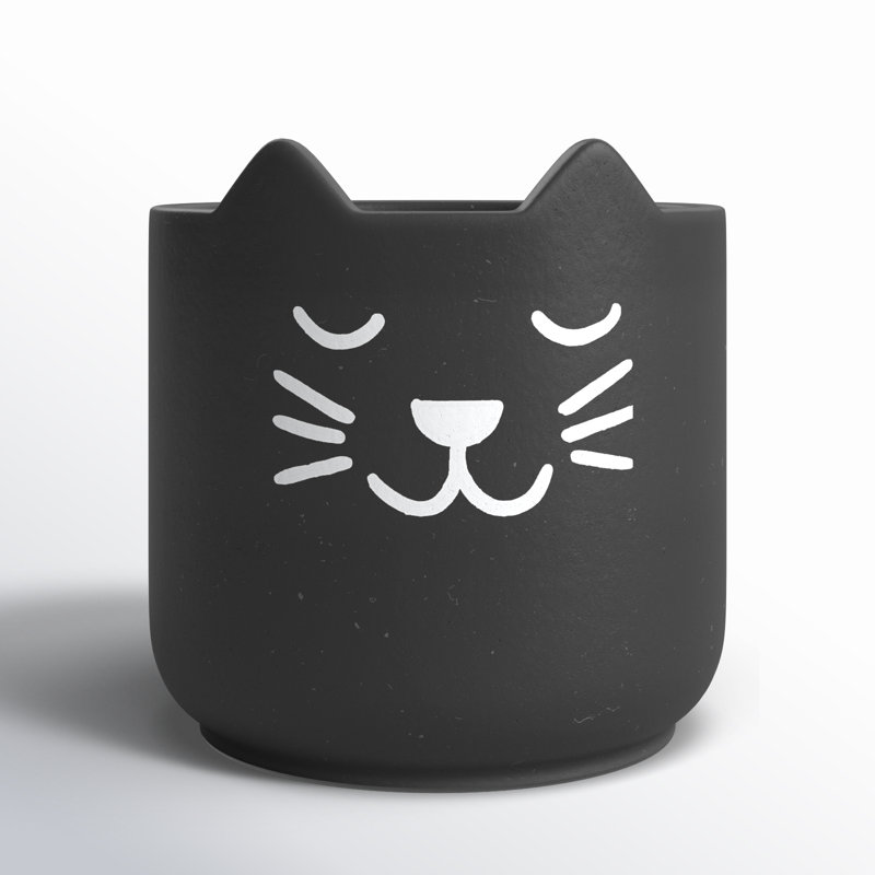Petit cache-chat Pruitt