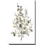 Eucalyptus neutre II - Peinture-387088054-384007764