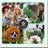 Artificial Palm Leaves for Decorations and Parties