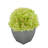 Fabric Hydrangea Arrangement in Pot-1488260804-1553681568