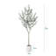 Faux olivier Adcock avec pot de fleurs ovale blanc-1860178857