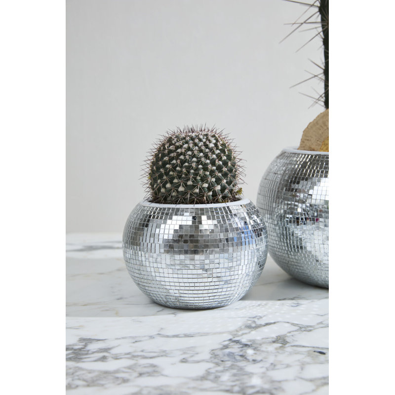 Braeden Disco Pot, 6.5"x 4.75"