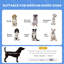 Lit pour chien portatif surélevé PawHut avec protection contre les rayons UV, 30 po-129513192-129513188