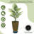  Jarrow 21" Large Tall Round Planter Pot (Set of 2)