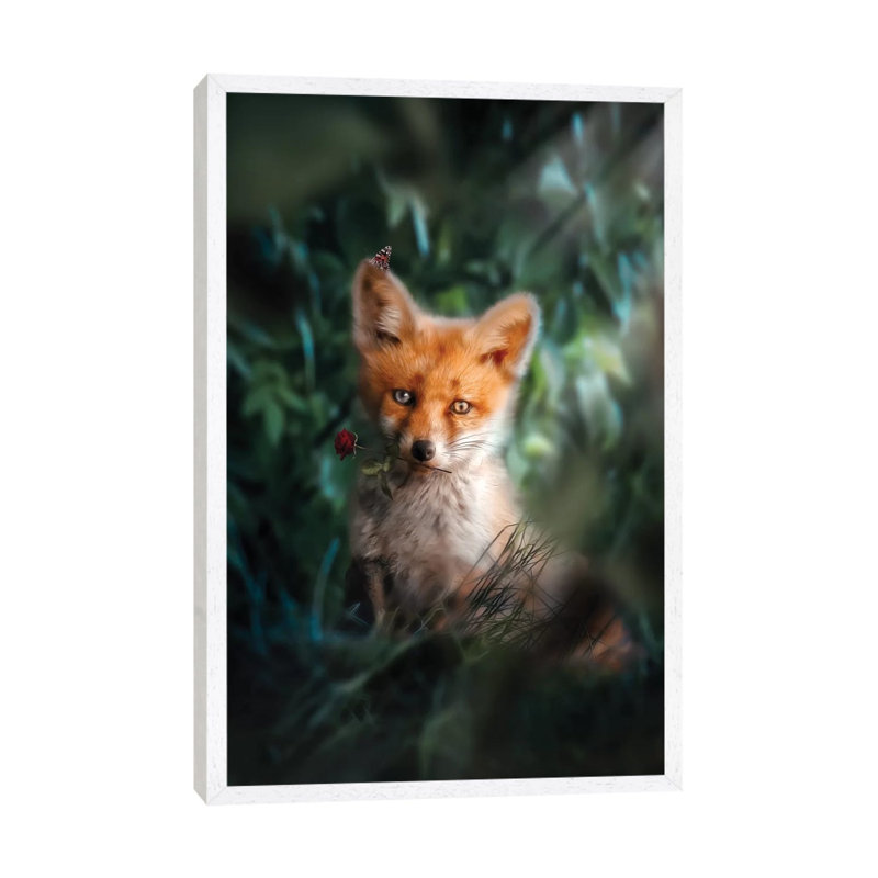 The Gentle Fox Cub by Zenja Gammer - Print on Canvas, White Framed, 66.04 cm H x 45.72 cm W