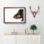 Dachshund Dog - Picture Frame Painting Print on MDF-55491086-55491082