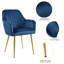 Fauteuil rembourré en velours Aisaiah-14913248