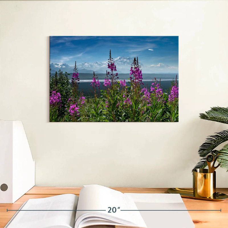 Denali Fireweeds