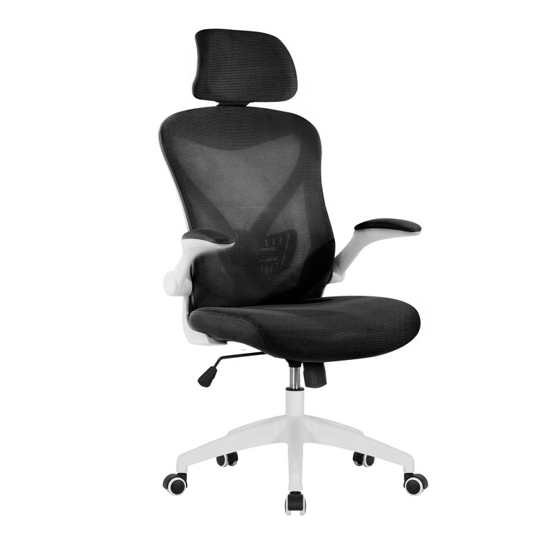 Aalaysia Mesh Office Chair with Headrest, Black