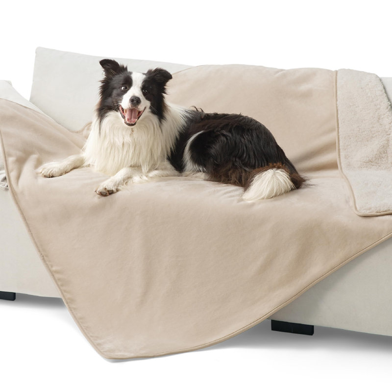 Couverture intérieure pour grands lits pour grands chiens et chats, jeté en sherpa réversible imperméable et lavable, protection pour canapé