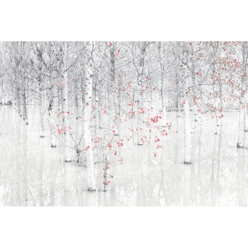 Wrapped Canvas Print, 50.8 cm H x 76.2 cm W