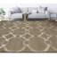 Geometric Area Rug in Brown/Silver-1192799073