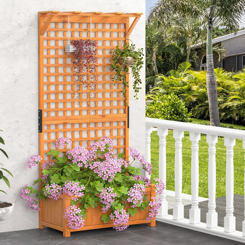 Arya-Jane Wood Raised Garden Bed with Trellis