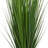 Faux Reed Grass in Vase