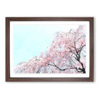 Pretty Pink Cherry Blossom Tree - Framed Print