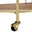 Elderine 2 TIER BAR CART WITH BUCKET