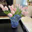 Customer photo 2 of 2