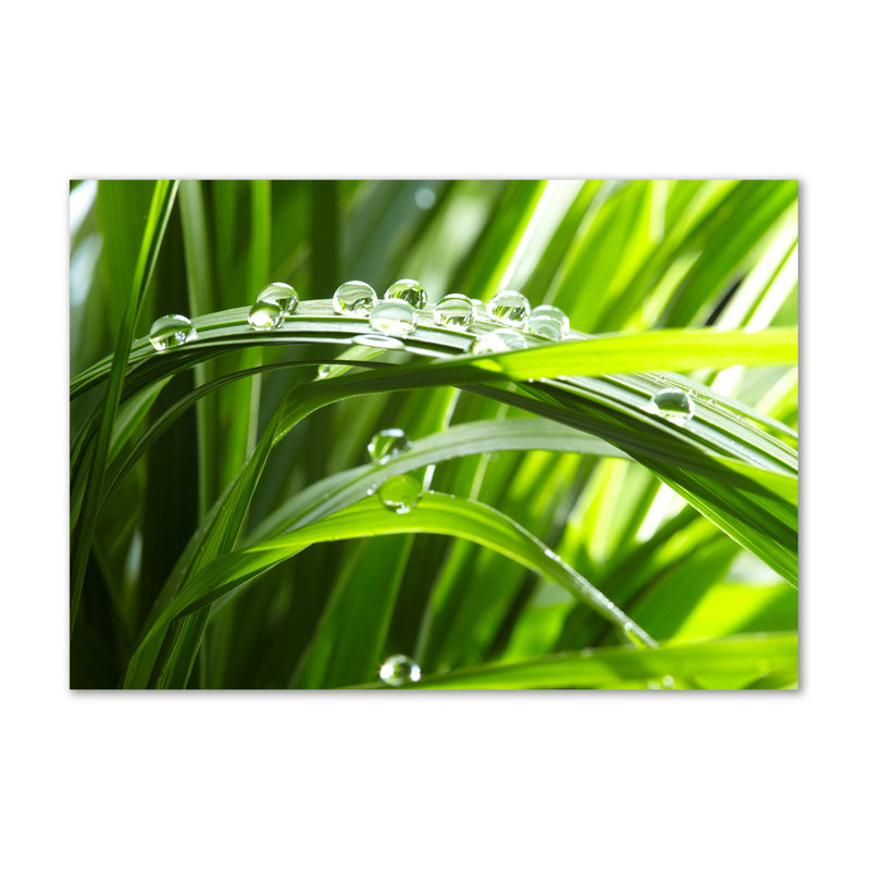 Drops On The Grass - Wrapped Canvas Print