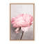 Nature Inspired Peony by  - Picture Frame Photograph on Paper-131284575-131284497-81387085