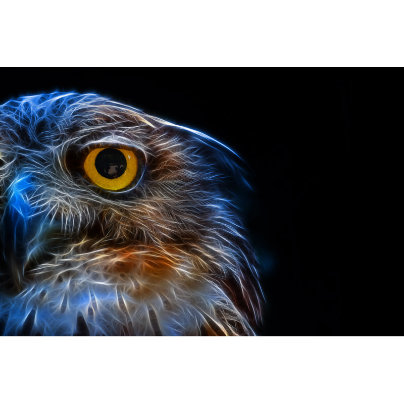 Houserville Digital Drawing Of A Owl - Wrapped Canvas Print, 20cm H x 30cm W x 3.8cm D