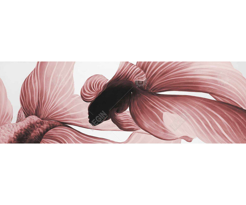 Deux deux Betta rouges, reproduction sur toile