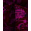 Overdyed Hand-Knotted Wool Modern-Contemporary Purple Area Rug 5' 10" x 9' 6"