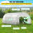 Walk-In Tunnel Greenhouse, 20 X 10 X 7 Ft Portable Plant Hot House W/ Galvanized Steel Hoops, 3 Top Beams, Diagonal Poles, 2 Zippered Doors & 12 Roll-Up Windows-128848451-128848452