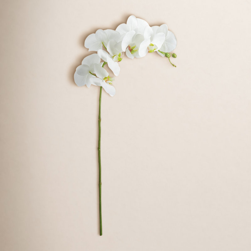 Fabric Orchid Faux Floral Arrangement, White