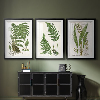Fern I  -Custom Framed  Premium Print W Matt - 3 Pieces